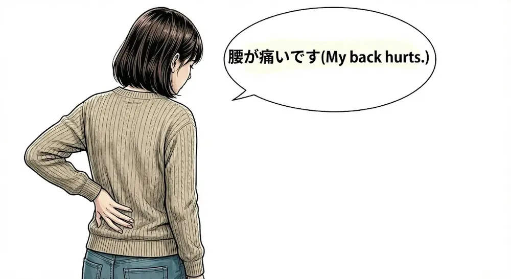 2026年2月5日の写真